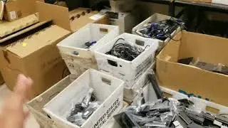 Newbie to IT professional