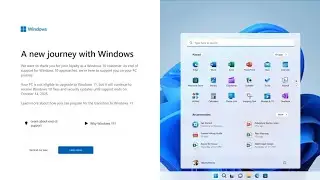 average windows 10 user