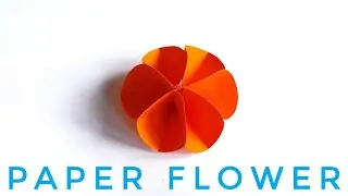 Paper Flower Simple Craft | Simple Paper Art | Origami Flower | Paper Art for Kids