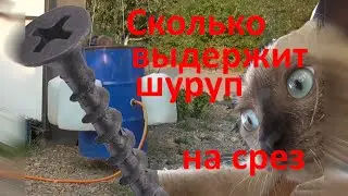 Сколько выдержит черный ШУРУП НА СРЕЗ. Испытание