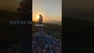 Ценность жизни?
