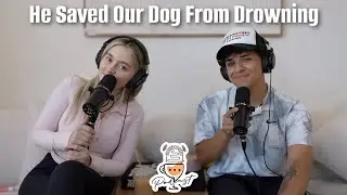 How we rescued our golden retriever from drowning, our next adventure together, new house updates