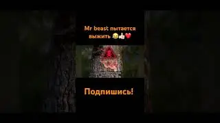 Mr beast пытается выжить 😂