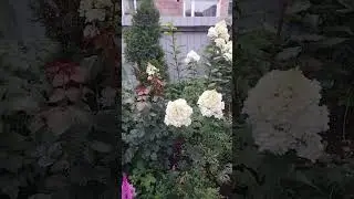 16 августа 2024 г.