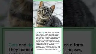 Farm animals in English #learnenglish #englishlearningpodcast #eslpodcast