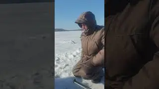 9 апреля прогулка в Лествянке