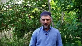 Нрав Посланника Аллаха (мир ему и благословение)