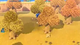 Sunday Animal Crossing