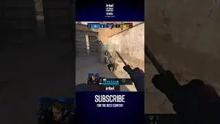 Niko Hits Staehr with Emotional Damage! | IEM Cologne 2024