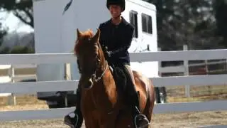 2014 Red Fox Slide Show