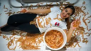 MILLIONS of SHRIMP!! Catch, Clean & Cook! INSANE Florida Shrimping!