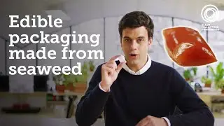 This zero-waste packaging is made from seaweed | Meet the Designers Eliminating Waste | Episode 1