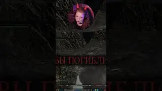 Грибной замес | Стримы по вечерам | 