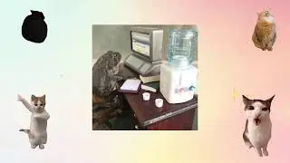 КООПНЫЙ КУБАЧ