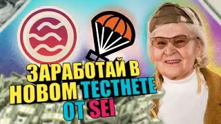 НОВЫЙ ТЕСТНЕТ ОТ SEI / ГОТОВИМСЯ К РЕЛИЗУ MAINNET / ГАЙД ПО ВЫПОЛНЕНИЮ ТЕСТНЕТА