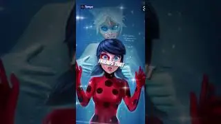 Chat blanc 🌟// EDIT//Miraculous ladybug and cat noir