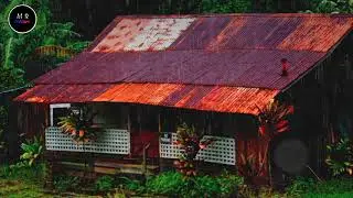Relax music + rain Music video by    . @mrbukhari2979