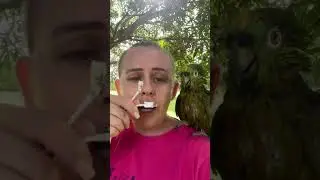 Женщина решила поругать попугая за сломанную зарядку для телефона, но птица в обиду себя не дала 😂