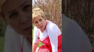 Как я посадила самую красивую гортензию 🌸