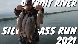 How To Fish The DETROIT RIVER for SILVER BASS!!(Silver Bass Run 2021)