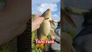 Карпуша.