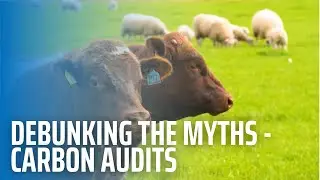 Debunking The Myths - Carbon Audits