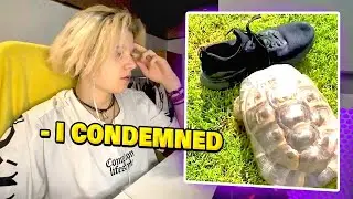 I'M WATCHING A VIDEO ABOUT A RACIST TURTLE!