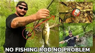 Catch More Fish with a DIY Fishing Pole from the Landscape