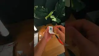 The FASTEST Cards in the World! 📸