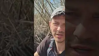 Это всё фотошоп