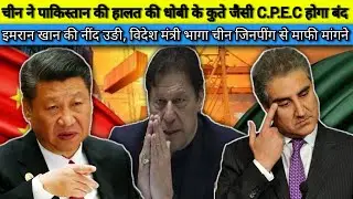 Pakistan Media On India | कुरैशी भागा नाक रगड़कर माफी मांगने |Pakistan News Live | Pakistan Media