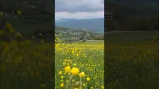 🇮🇹💝🚗👠Lost in Italy 👀😎🤩 #driving #italia #italy #roadtrip #travel #travelvlog