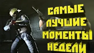 САМЫЕ ЛУЧШИЕ МОМЕНТЫ НЕДЕЛИ | #1