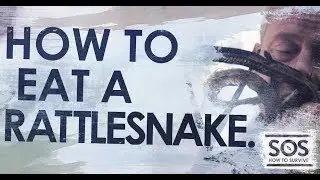 Creek Stewart Survival Tips: Eat a Rattlesnake