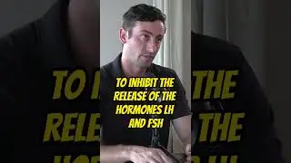 This is why porn preventing you from reaching your full potential 