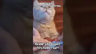Мем 
