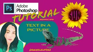 Text in Pictures