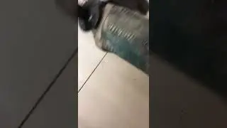 24 июня 2020 г.