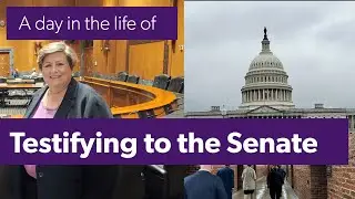 Testifying to the Senate- Day in the Life of Diane Yetter #salestax #capitolhill