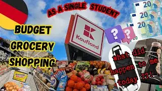 🇩🇪 ??!€ Grocery Shopping at Kaufland | Prices 2024 | Food Budget as a single Student in Germany