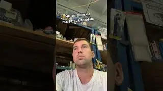 Мечты должны сбываться вовремя