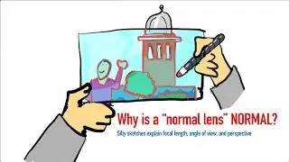 Lenses and Perspective Explained in Silly Sketches