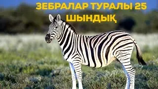 ЗЕБРАЛАР ТУРАЛЫ СІЗ БІЛМЕГЕН 25 ШЫНДЫҚ
