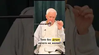 Тело без души ничего не желает А.Г.Хакимов