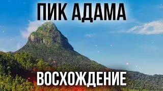 Восхождение на Большой пик Адама. Шри Ланка. Sri Lanka