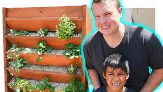Turning My GRONOMICS Vertical Garden Into Hydroponics!