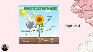 CAPTION TEXT - BAHASA INGGRIS KELAS 12