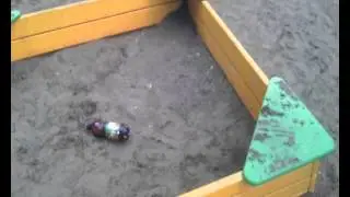 Вятский квас