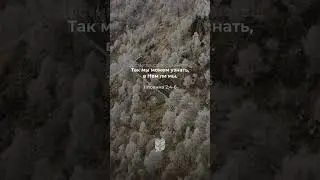 1 Иоанна 2:4-6 в современном переводе 