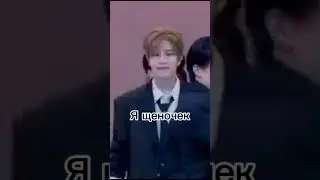 #kpop#straykids#stay#подпишись..